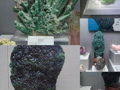 -湖南省地质博物馆