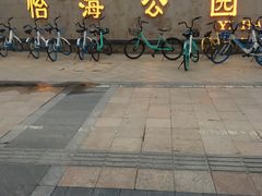 -怡海公园(桂城街道)