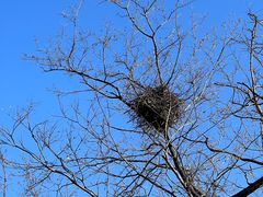 -北京西山国家森林公园