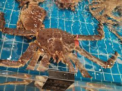 -新丁香海鲜酒店(银海商贸城店)