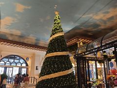 -深圳威尼斯英迪格酒店