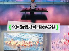 -罗红摄影艺术馆