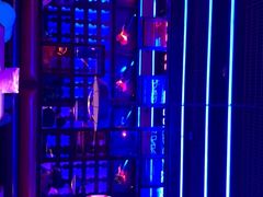 -蛙来哒(友谊阳光城店)
