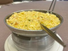 -丁老爷子苏香圆