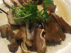 -MR鹅外