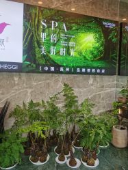 -阅年轻·AI家庭健康体质调理