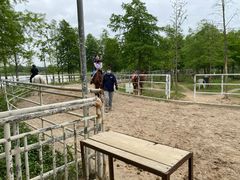 -上海海湾国家森林公园