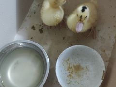 -武汉紫薇都市田园