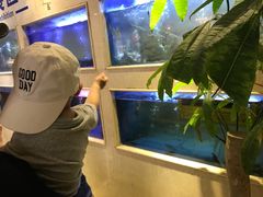 -阿英煲(凉城路店)