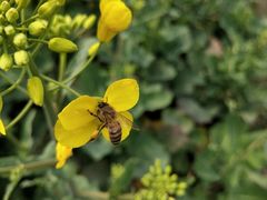 -寻龙山风景旅游区