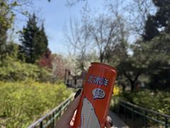 -宣武艺园