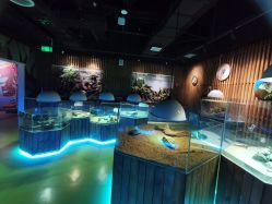 点击看大图 -七巧国萌宠乐园(龙湖天街店)
