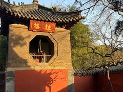 -泰山风景名胜区-普照寺