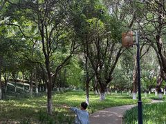 -沙澧河风景区