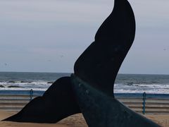-烟台金沙滩海滨公园