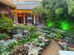 -山菌美食苑(振兴路店)