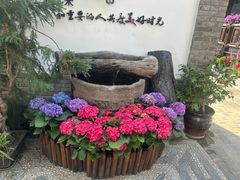 -慢丽江·云南野生菌土鸡锅(西山店)