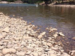 楠溪江-楠溪江风景名胜区