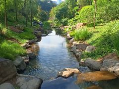 -云溪植物园