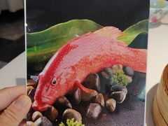 -维园悦谱·海派家常菜(乌鲁木齐南路店)