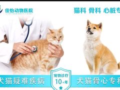 -佳怡动物医院·平价24小时·猫专科骨外科