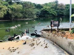 -南宁市动物园