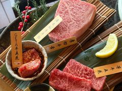 -老乾杯(深圳湾万象城店)