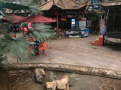 -龙脉温泉室内游泳馆