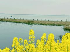 -阳澄湖半岛旅游度假区