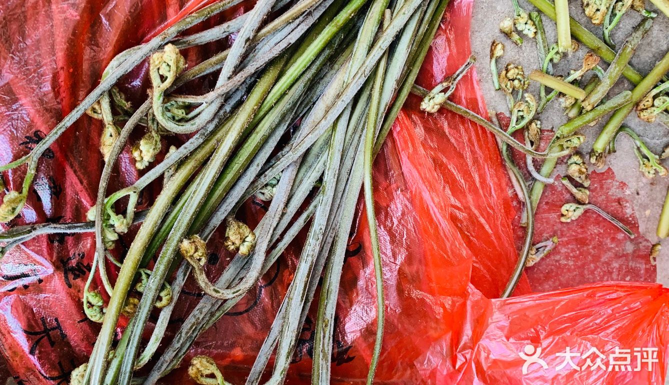 自己上山采的蕨菜就是好吃些