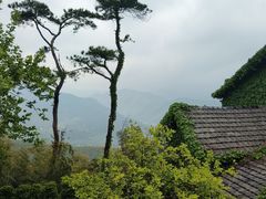 -莫干山风景区