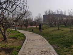 -南开大学(津南校区)