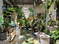 -弗劳尔花艺坊(龙涛店)