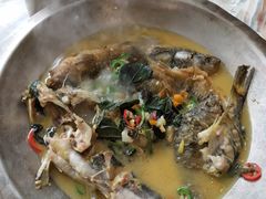 -椿记烧鹅(叠彩店)