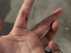 -灵玲国际马戏城