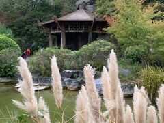 -上海吴淞炮台湾国家湿地公园