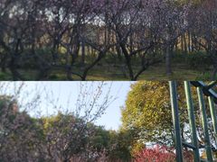 -渤公岛生态公园