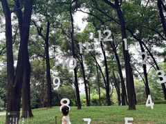 -云溪植物园