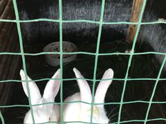 -明珠湖天鹅苑·农家菜馆