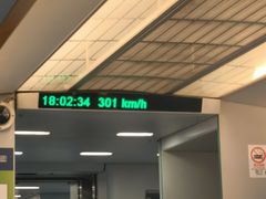 -龙阳路磁悬浮列车总站-停车场