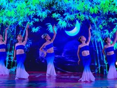 -小荧星艺校(大宁分校)