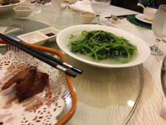 -北海渔村酒楼·粤菜海鲜点心(新华店)
