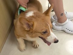 -美联众合动物医院·24h京西诊疗中心