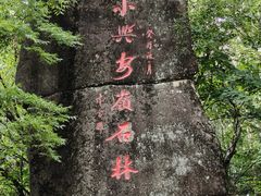 -汤旺河林海奇石景区