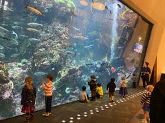 -西雅图水族馆