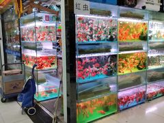 -三旗百汇商品城