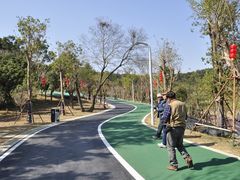 -飞凤山奥体公园
