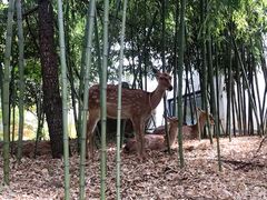 -观唐（国际）度假村温泉