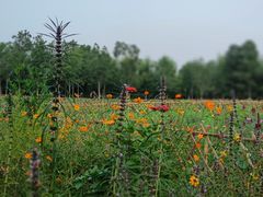 -北京西山国家森林公园