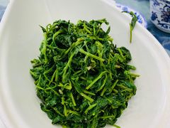 养生枸杞苗-老毛手抓·盐池滩羊非遗手抓(宁夏总店)
